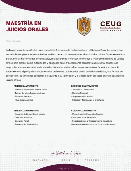 maestria-en-juicios-orales